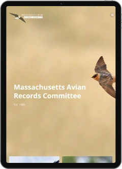 thumbnail image of a tablet showing a website